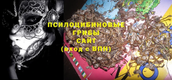 марки lsd Ельня