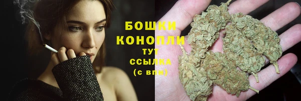 ПСИЛОЦИБИНОВЫЕ ГРИБЫ Заводоуковск