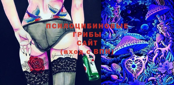 ПСИЛОЦИБИНОВЫЕ ГРИБЫ Заводоуковск