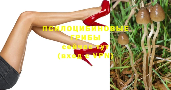ПСИЛОЦИБИНОВЫЕ ГРИБЫ Заводоуковск