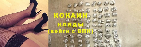 ПСИЛОЦИБИНОВЫЕ ГРИБЫ Заводоуковск