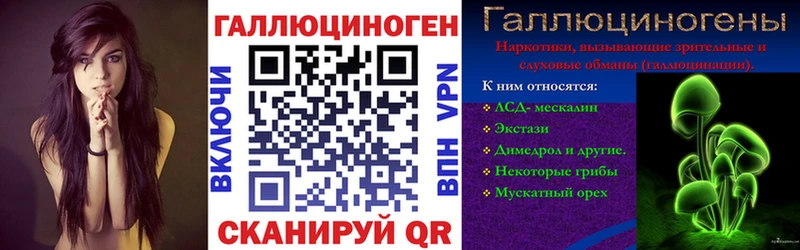 продажа наркотиков  Заинск  Псилоцибиновые грибы Psilocybe 